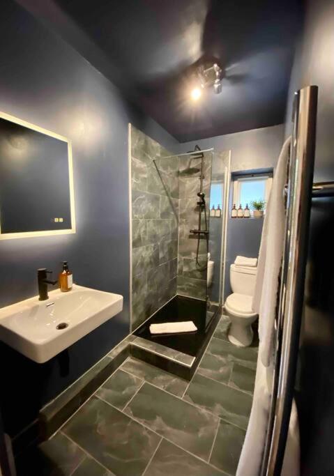 Stylish Studio For 3 Near Regents Park N4 لندن المظهر الخارجي الصورة