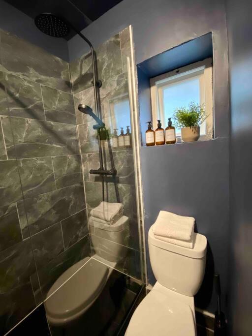 Stylish Studio For 3 Near Regents Park N4 لندن المظهر الخارجي الصورة